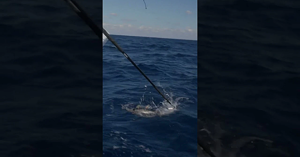 When The Fishing Is So Damn Good You Have To Break The Fourth Wall. #fueledbynature