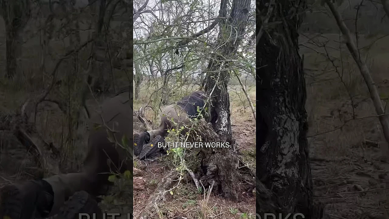 Tune In To Today’s Podcast For An In The Field Episode Featuring The One And Only Cam Hanes.