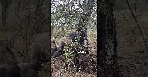 Tune In To Today’s Podcast For An In The Field Episode Featuring The One And Only Cam Hanes.