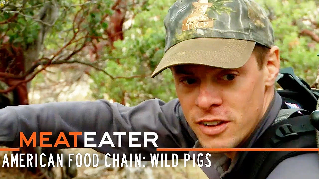 Meateater S1-e06: The New American Food Chain: Wild Pigs