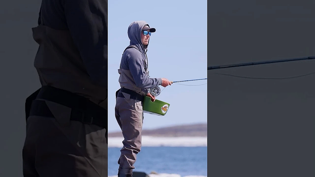 What's The Main Goal Of Studying Char?