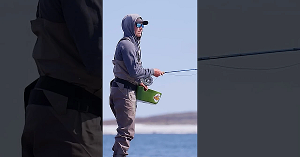 What's The Main Goal Of Studying Char?