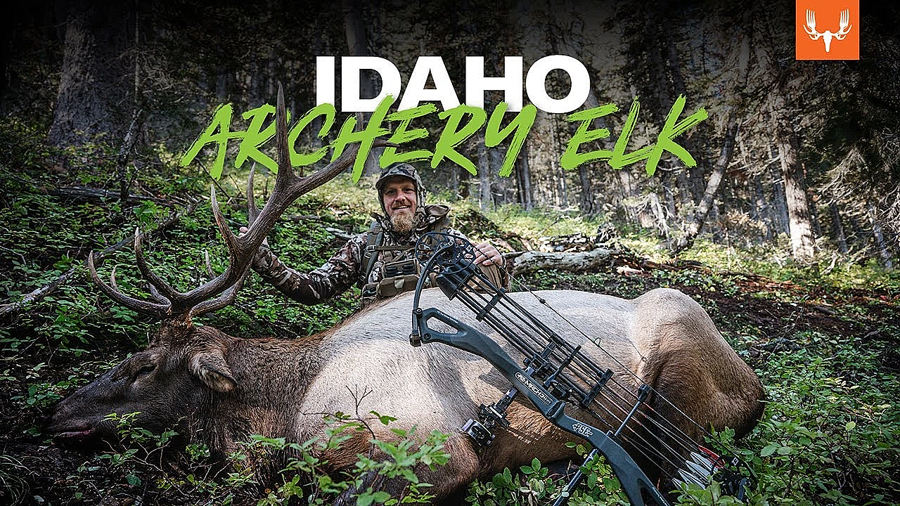 Idaho Archery Elk With Jason Phelps