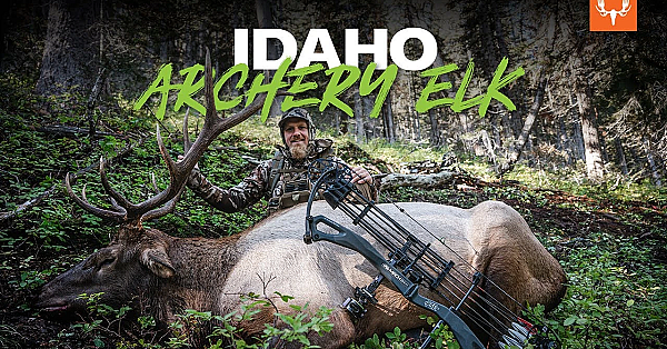 Idaho Archery Elk With Jason Phelps