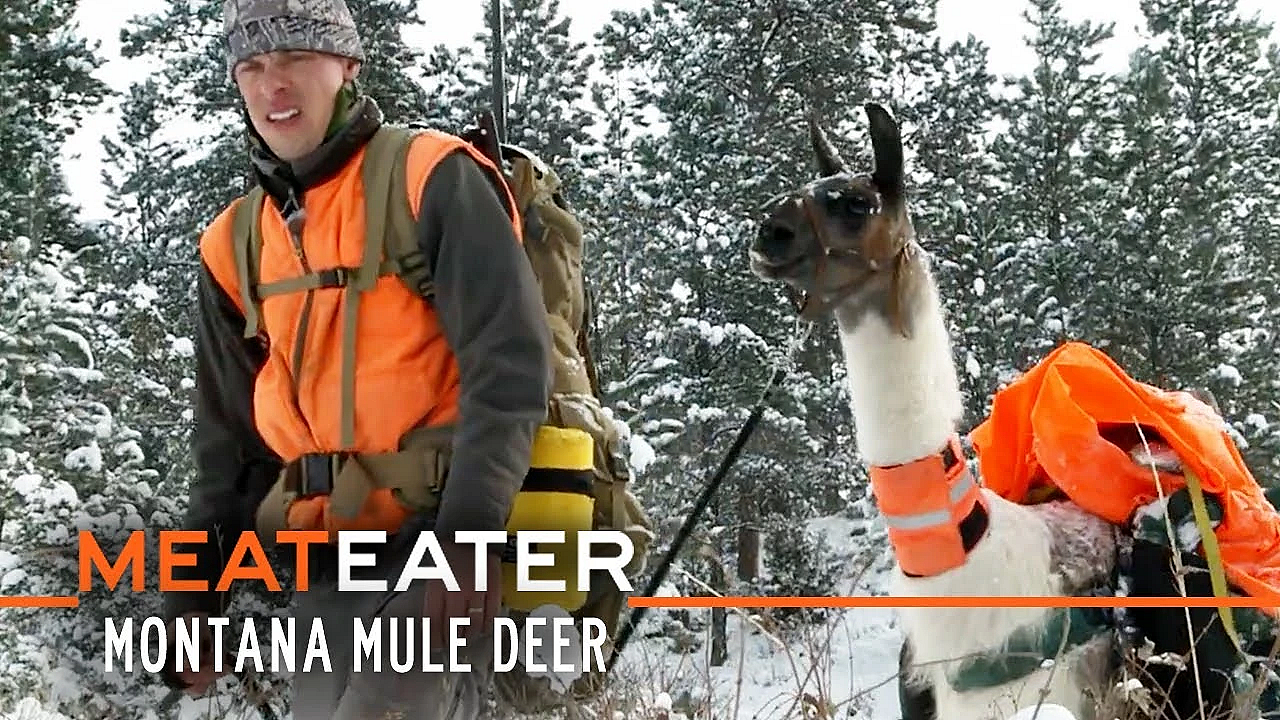 Meateater S1-e07: Brotherhood, Badlands, And Pack Llamas: Montana Mule Deer