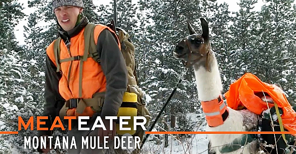 Meateater S1-e07: Brotherhood, Badlands, And Pack Llamas: Montana Mule Deer
