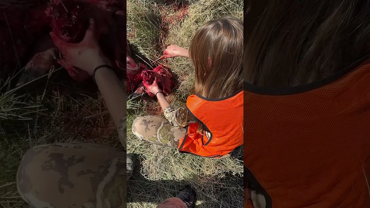 Steve’s Daughter Salvaging The Heart Meat From Her Second Buck.