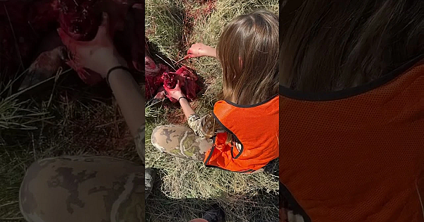 Steve’s Daughter Salvaging The Heart Meat From Her Second Buck.