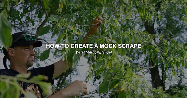 Whitetail Hunting Tips From Meateater's Back 40: How To Make A Mock Scrape