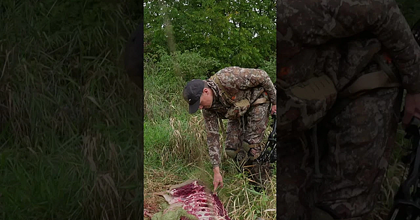 Have You Ever Lost A Deer To A Predator? #deerhunting #meateater