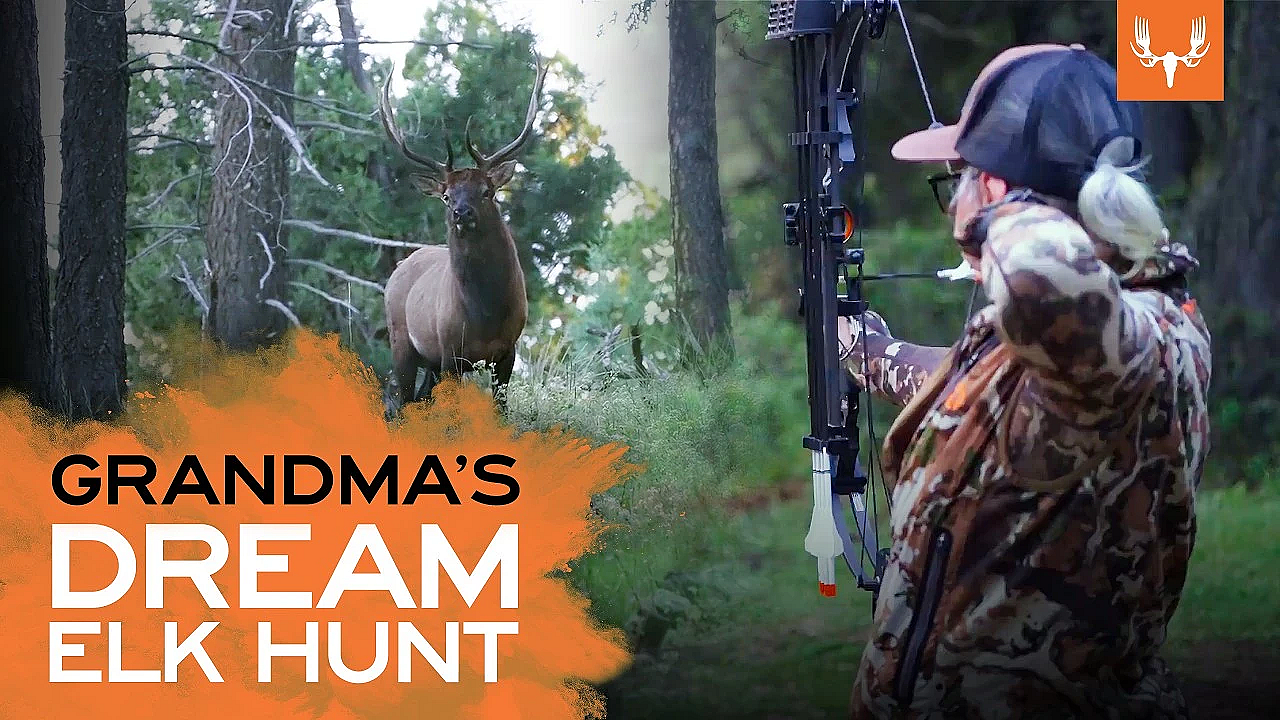 New Mexico Family Elk Hunt | The Element