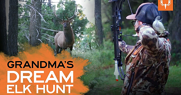 New Mexico Family Elk Hunt | The Element