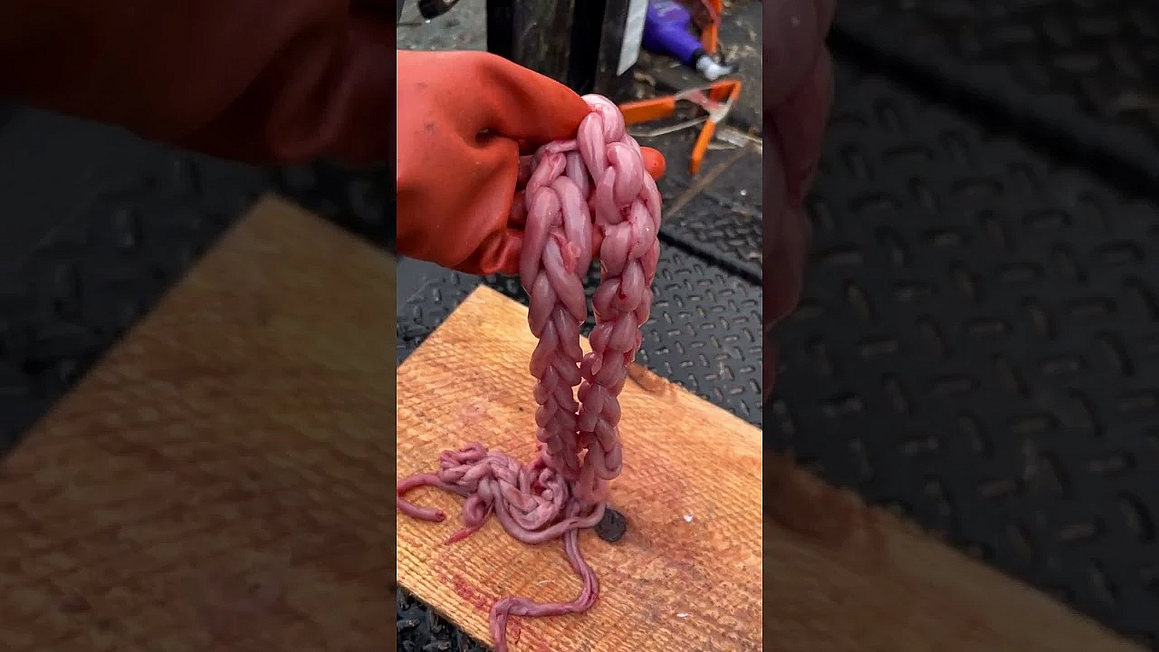 Heather Douville, A Member Of The Tlingit Tribe, Shares Traditional Methods For Processing A Seal.