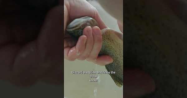 Smoking Trout With Steven Rinella. #fishing #cooking #hunting