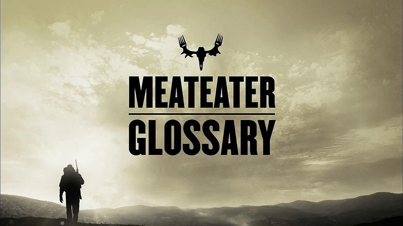 Meateater Glossary: Hyperphagic