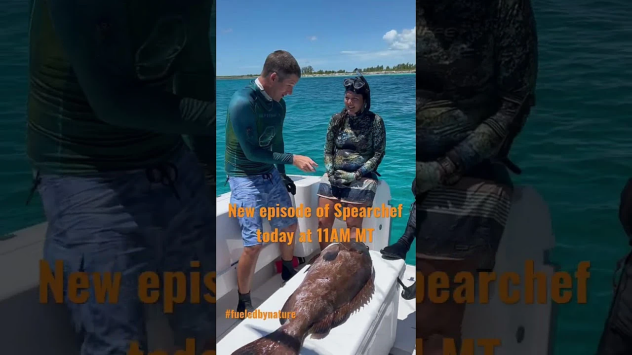 Watch Steve, Kimi, And Cam On Todays Episode Of Spearchef. Live On Our Channel At 11am Mt!