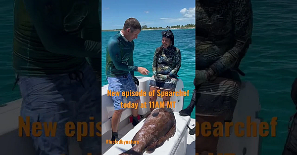 Watch Steve, Kimi, And Cam On Todays Episode Of Spearchef. Live On Our Channel At 11am Mt!