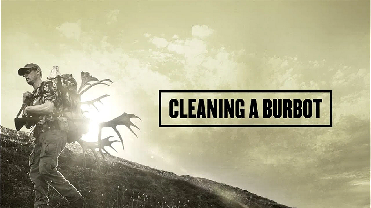 Burbot Cleaning Tips