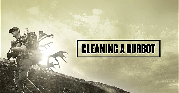 Burbot Cleaning Tips