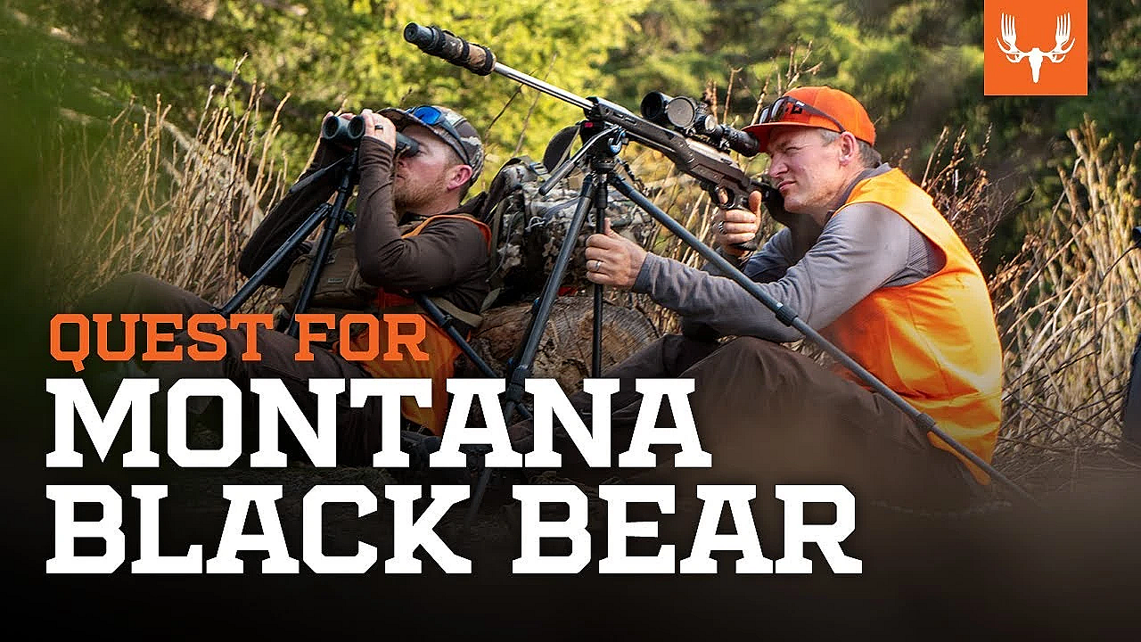 Janis Putelis Hunts For A Montana Black Bear