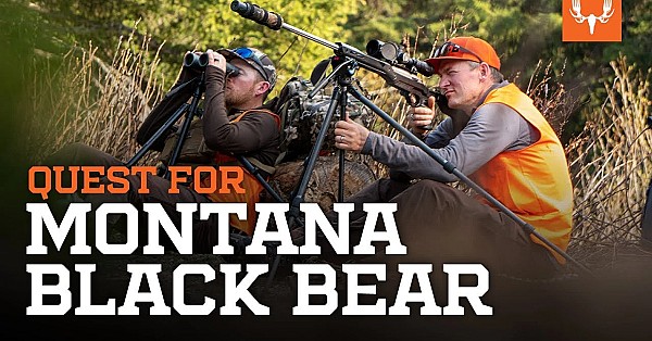 Janis Putelis Hunts For A Montana Black Bear