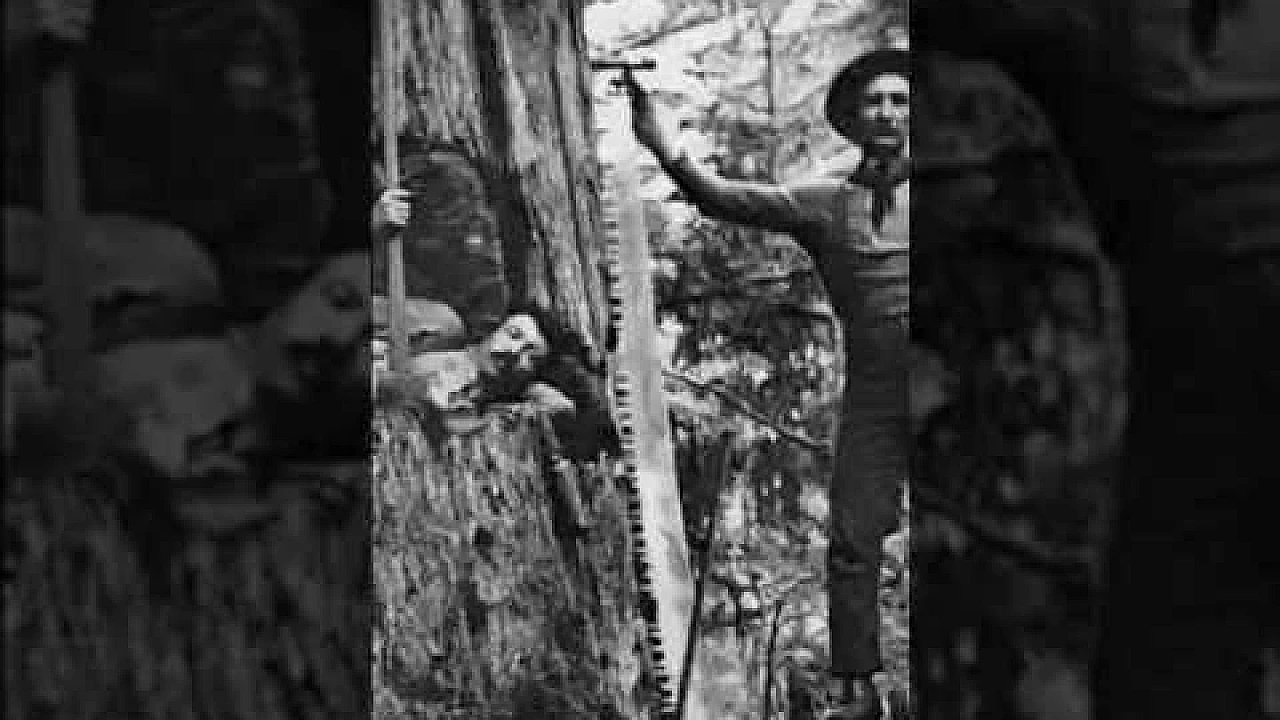 Old school logging