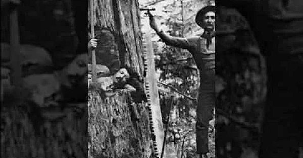Old school logging