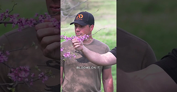 When The Redbuds Are Blooming, It’s Time To Hit The Creek. Full Episode Is Live Now!