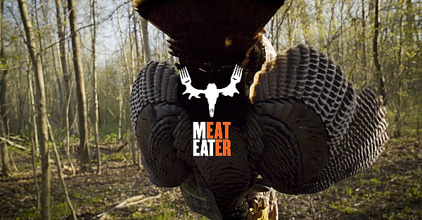 Spring Turkey Hunting With Meateater's Janis Putelis