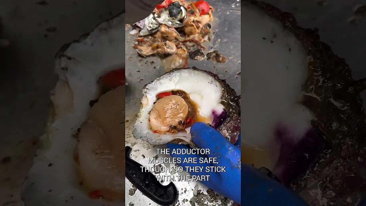 Steve Cleaning A Big-assed Rock Scallop At The Fish Shack.  #fueledbynature