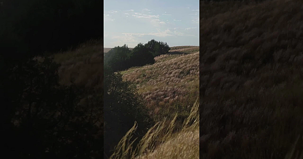 Elk In Nebraska? Draw That Rare Tag And You Could Chase The Bull Of A Lifetime. Full Ep. Is Live.