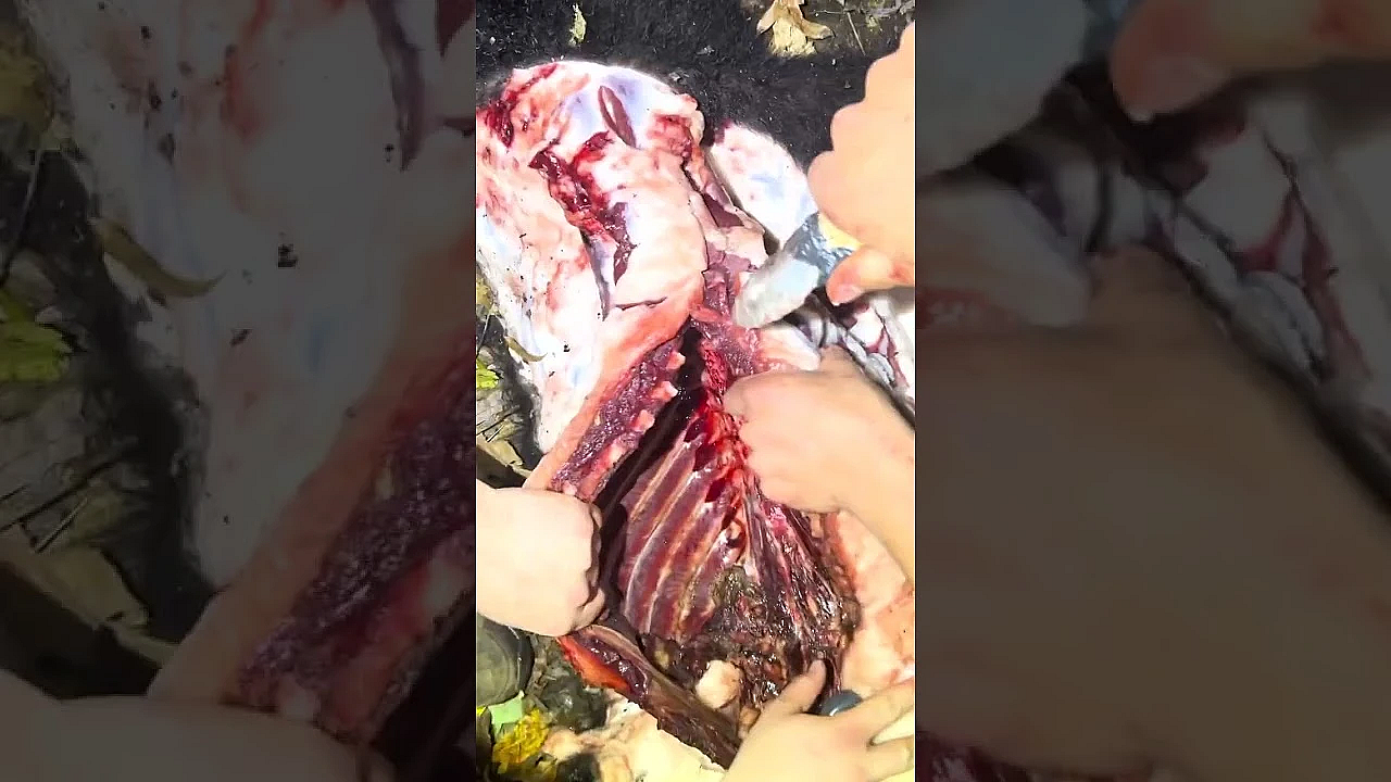 Bear Newcomb Tests Out The Stone Knife He Made While Helping A Friend With Some Butchering.