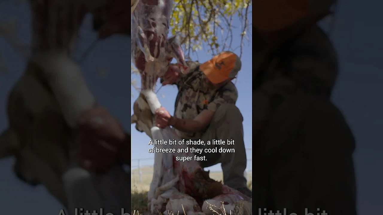What Do You Think Of Antelope Meat? New Episode With Cal Is Live Now. #meateater