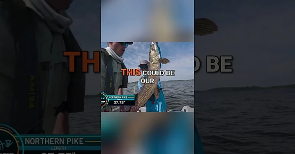 Luke McFadden catches a giant Northern Pike on Day 3 of the FishEater Classic