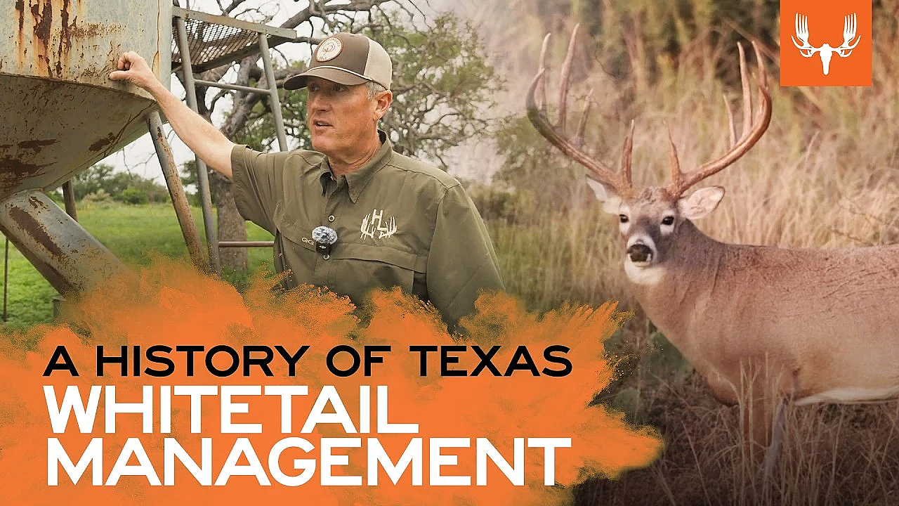 The Element - A History of Texas Whitetail Management