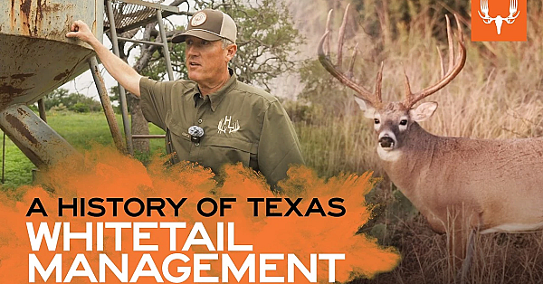The Element - A History of Texas Whitetail Management