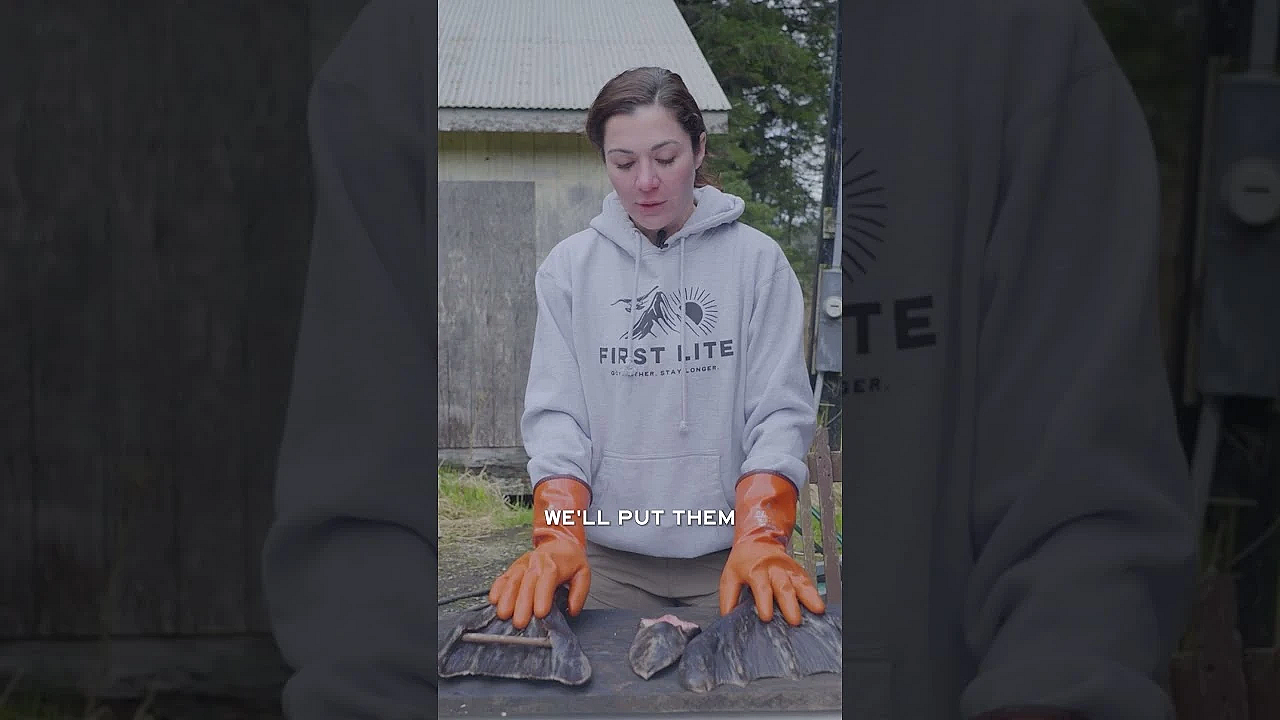 The Latest Episode Of Our Way Of Life Explores The Tradition And Practice Of Seal Harvesting.