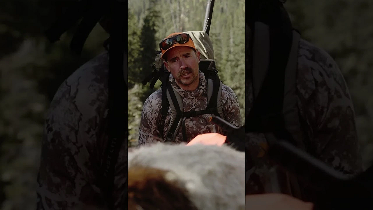 What In Tarnation Is Ol Cal Up To In This One? Tune In To Our Latest Episode And Find Out!