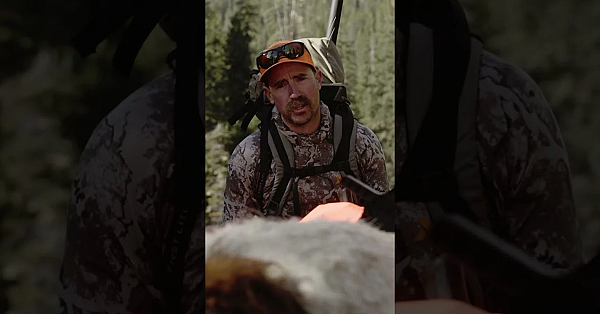 What In Tarnation Is Ol Cal Up To In This One? Tune In To Our Latest Episode And Find Out!