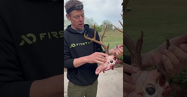 Ever Seen A Whitetail Like This? #meateater #fueledbynature