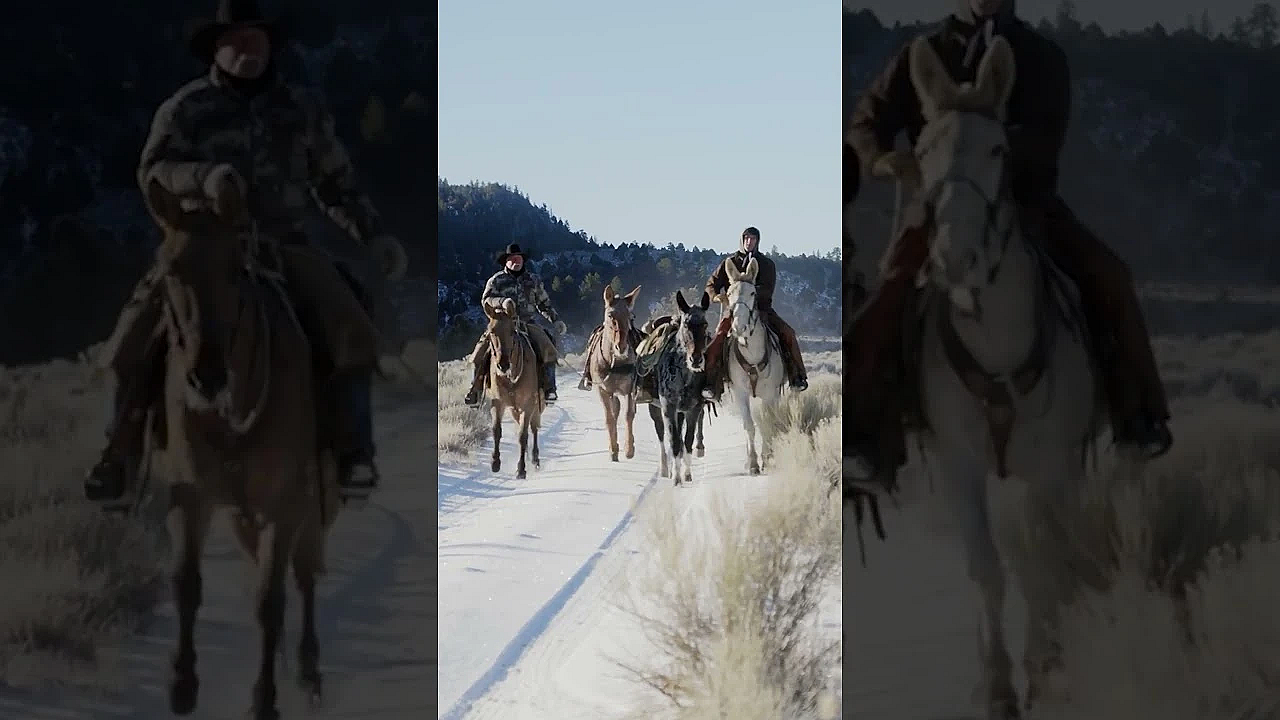 Clay's Mountain Lion Hunting With Legends This Week!