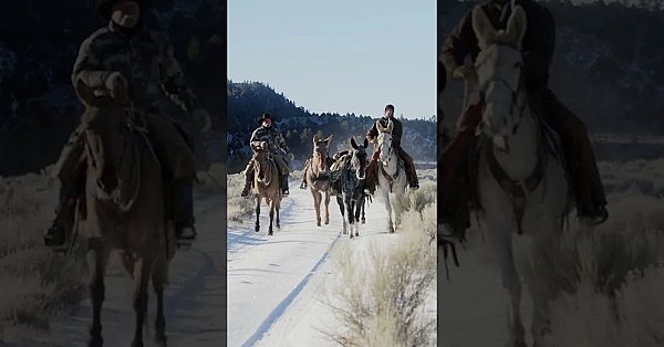 Clay's Mountain Lion Hunting With Legends This Week!