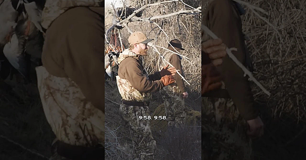 When January Hits, Late-season Mallards Are On Our Minds. The Guys From Flying V Feel The Same.