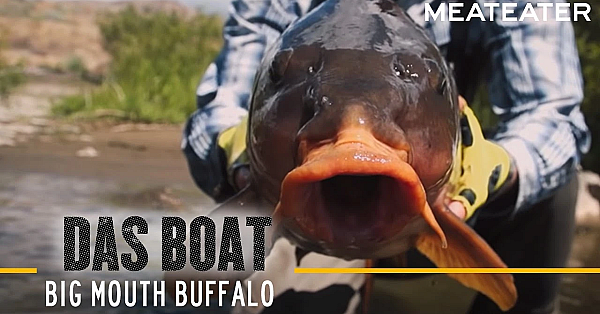 Das Boat S2:e05 Big Mouth Buffalo With Ryan Callaghan And Miles Nolte