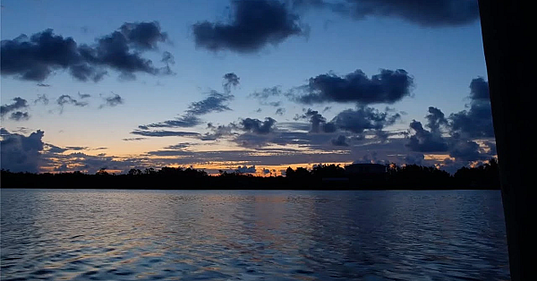 Das Boat Bonus Episode: A Look At Florida's Water Crisis