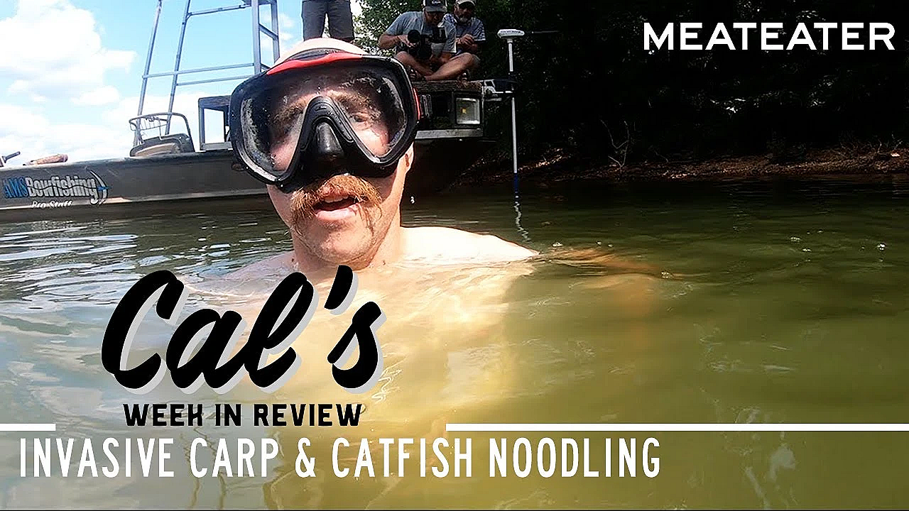 Cal In The Field - Ep. 2: Invasive Carp And Catfish Noodling