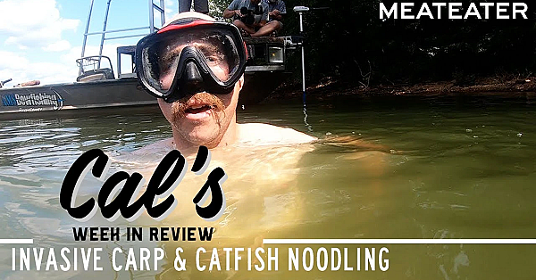 Cal In The Field - Ep. 2: Invasive Carp And Catfish Noodling
