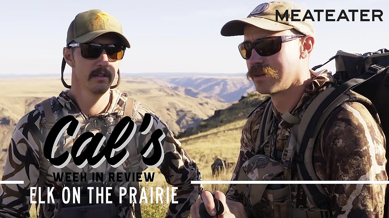 Cal In The Field - Ep. 1: Elk On The Prairie