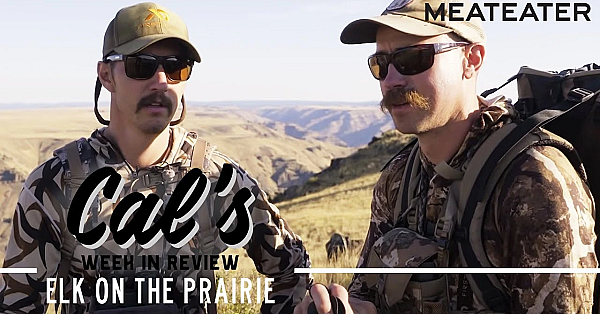 Cal In The Field - Ep. 1: Elk On The Prairie