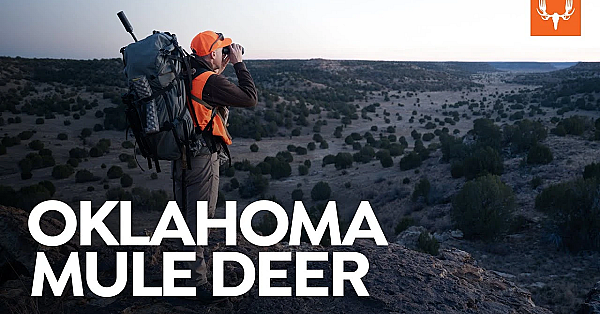 Oklahoma Mule Deer With Meateater's Ryan Callaghan
